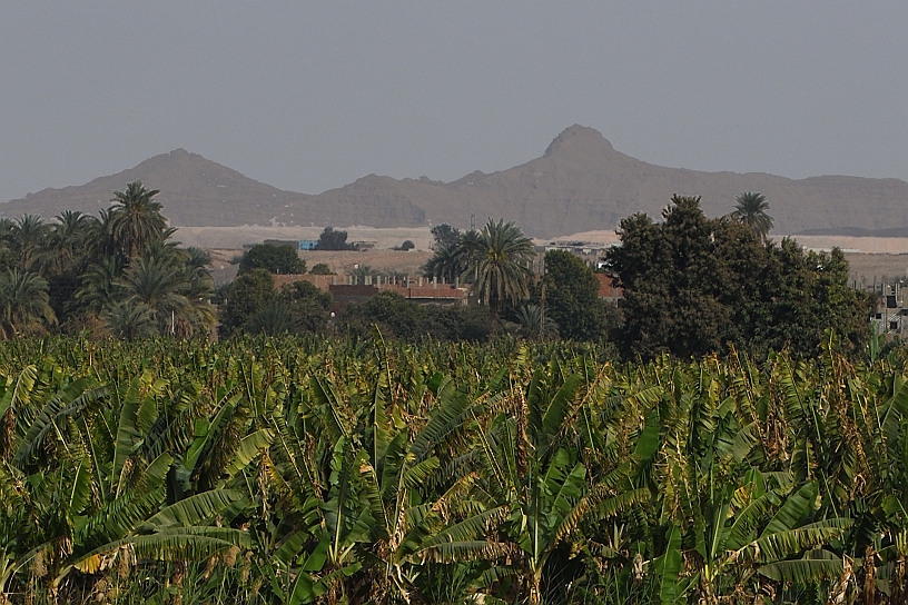01 MAK_6239pp.jpg - Dalla vecchia Tebe, ora Luxor, si lasciala valle dei re e delle regine.
